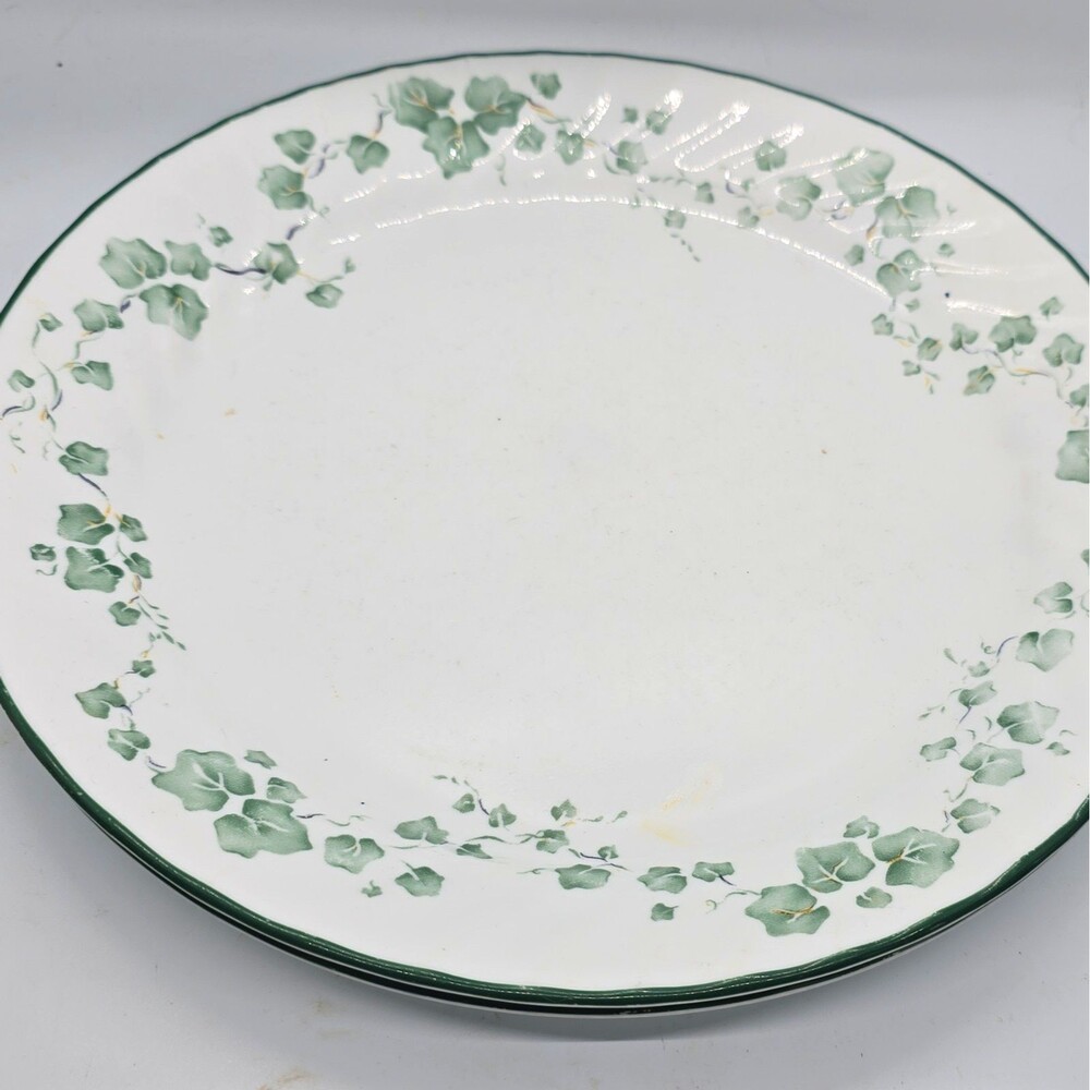 Corelle 2-Piece Break/Chip Resistant Glass Dinner Plates White/Green Ivy Floral